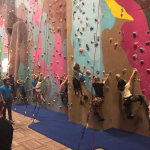 Kids Climbing in Auckland