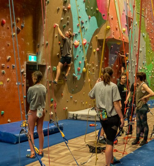 Kids Indoor Climbing in Auckland
